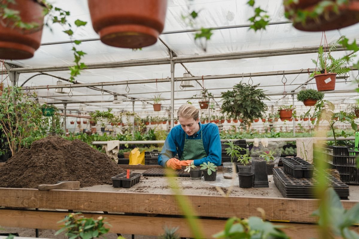 Gardening and plant nursery